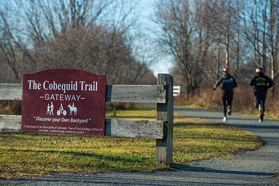 Cobequid Trail
