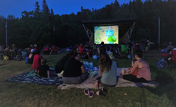 Movie Nights in the Park